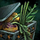 Exceptional Ingredients Pouch.png