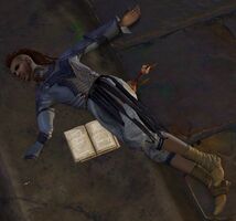 Freebooter's Journal.jpg