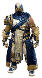 Inquest armor (medium) norn male front.jpg