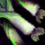 Leek.png