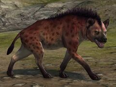 Red Fur Spotted Hyena.jpg