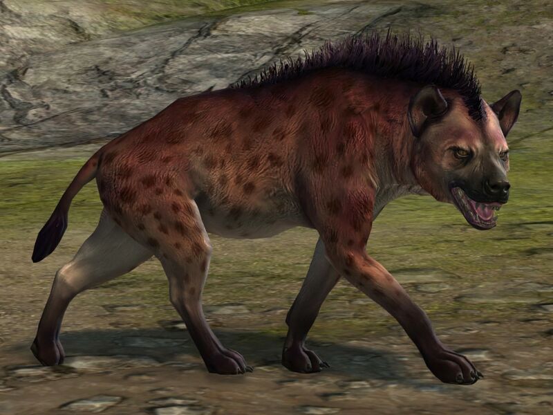 File:Red Fur Spotted Hyena.jpg