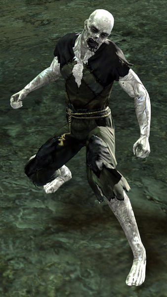 File:Risen Thrall (human male).jpg