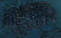 Thumbnail for version as of 11:05, 7 February 2026