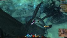 Skyscale Egg 21.jpg