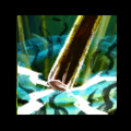 Thumbnail for version as of 18:52, 27 June 2023