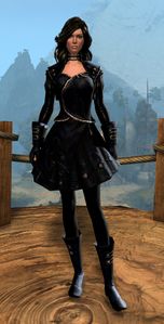 Appearance on light armor.