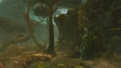 The Mothmarsh.jpg