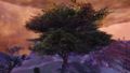 Ancestor Tree.