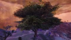 Ancestor Tree.jpg