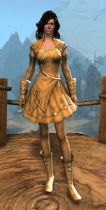 Appearance on light armor.