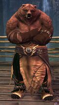 Brown Lowland Kodan (skirt crossed arms).jpg