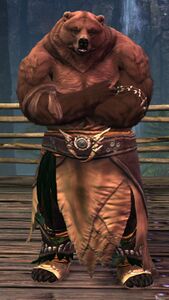 Brown Lowland Kodan (skirt crossed arms).jpg