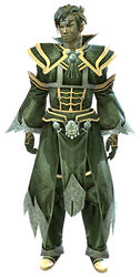 Council Ministry armor sylvari male front.jpg