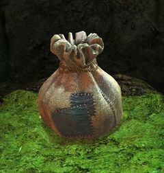 Cursed Treasure Purse.jpg
