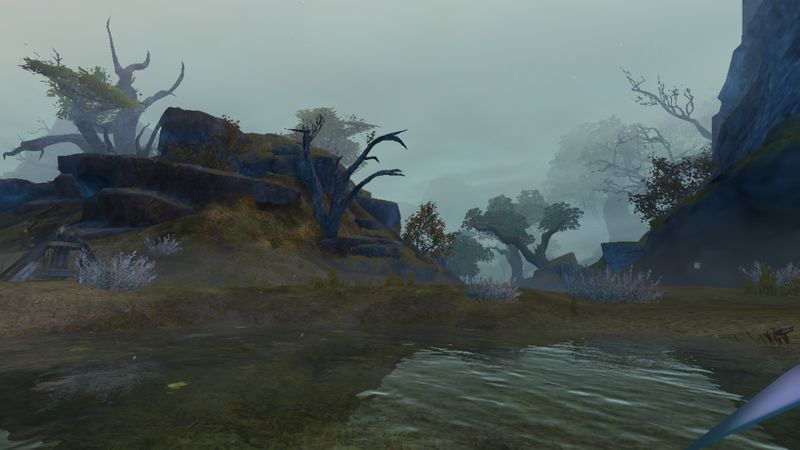 File:Dalada Forest 2.jpg