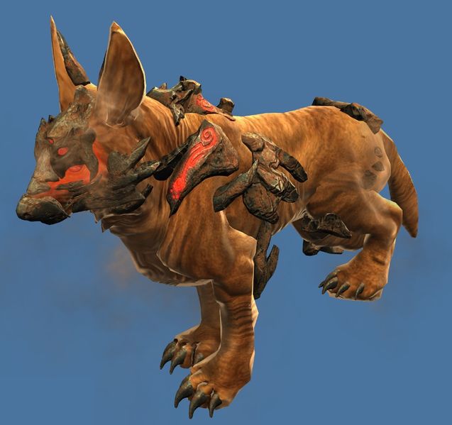 File:Mini Red Jackal Pup.jpg