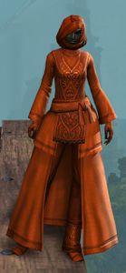 Appearance on light armor.