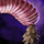 Package of Sacred Plant Food.png