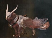 Vulture Griffon.jpg