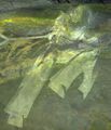 Thumbnail for version as of 13:28, 8 July 2024