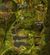 Auric Basin chests Bristleback Chasm 2.jpg