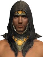 Battlelord's Hood Helm.jpg