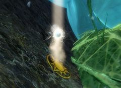 Champions Insight- Bloodtide Coast.jpg