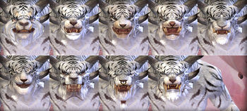 Charr male faces.jpg