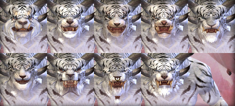 File:Charr male faces.jpg