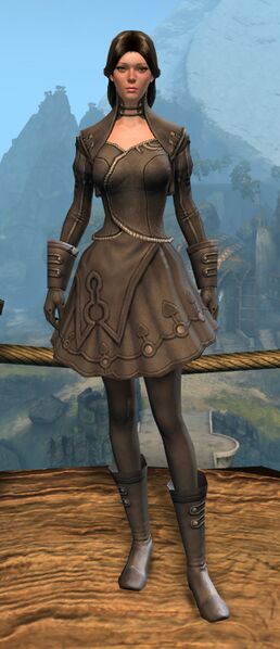 File:Gray Dye (light armor).jpg