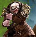 Image from Guild Chat - Episode 116.