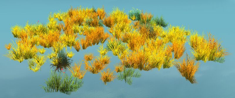 File:Janthir Grass (Small).jpg