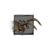 Juvenile Whiptail Devourer.png