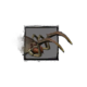 Juvenile Whiptail Devourer.png
