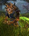 Ralorr Fireshot