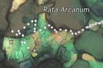 Rock Collector (Firestone 53 map).jpg