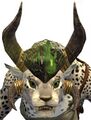 Wurmslayer's Visor charr