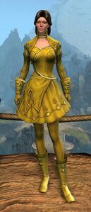Appearance on light armor.
