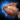 Chestnut Sea Bream
