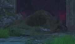 Dank Nest.jpg
