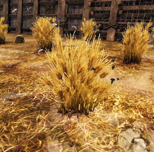 File:Infected Crop.jpg