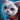 Mini White Kitten.png