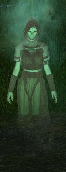 File:Purist Necromancer Spirit (female).jpg