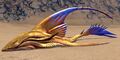 Sand Shark.jpg
