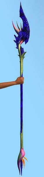 File:Strelitzia Crystallinum Spear.jpg