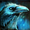 Raven Spirit