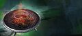 Thumbnail for version as of 19:50, 26 August 2022