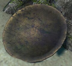 Gold Ceremonial Platter (object).jpg
