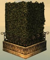 Hedge Corner back.jpg